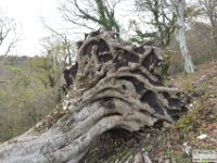 2021-12-04 Monte Gennaro da Palombara 035